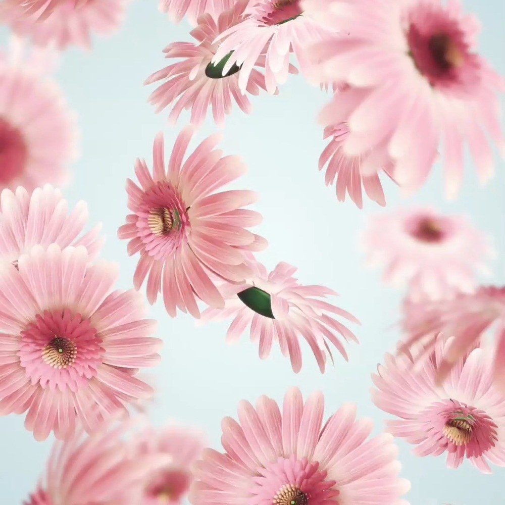 Meet your Posher, Abigail